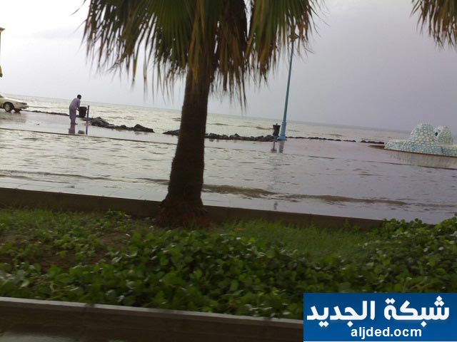     

:	jeddah_rain_26_january_10.jpg
:	214
:	37.6 
:	4197