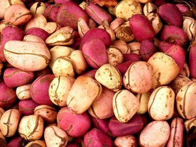 :	High-Quality-Kola-nuts.jpg
: 472
:	43.1 